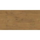 DąbLancelot R4262