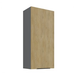 50 G-108 1F CREMONA ANT